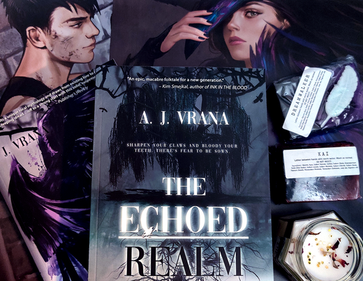 The Echoed Realm (Chaos Cycle Duology #2) by AJ Vrana